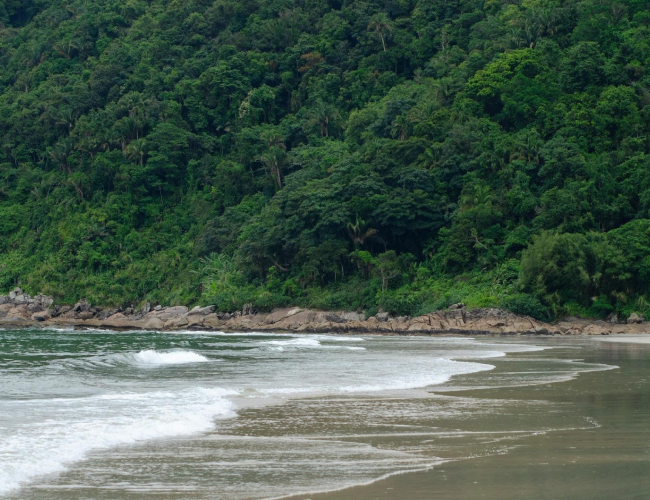 História do Guarujá das raízes indígenas ao paraíso turístico